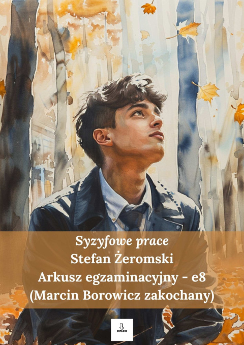 Arkusz egzaminacyjny e8 - "Syzyfowe prace" - Borowicz zakochany