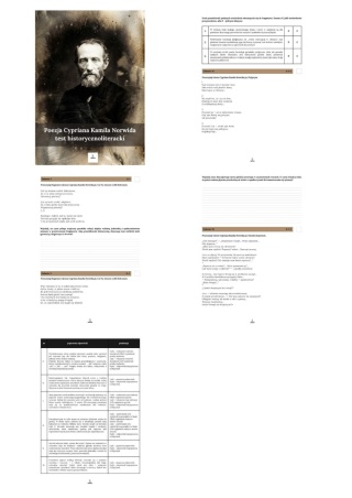 Test historycznoliteracki - poezja Cypriana Kamila Norwida [ebook]