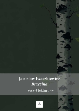 Zeszyt lekturowy - "Brzezina" Jarosław Iwaszkiewicz [ebook]