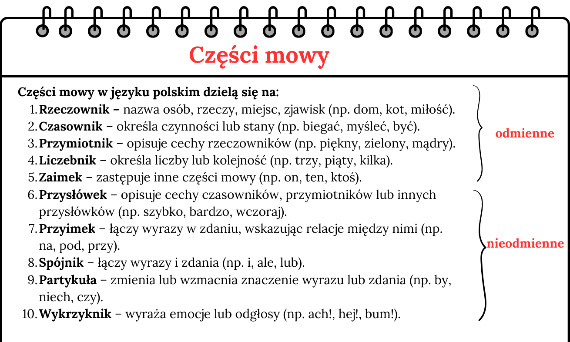 Części mowy - powtórkowe karty pracy do e8